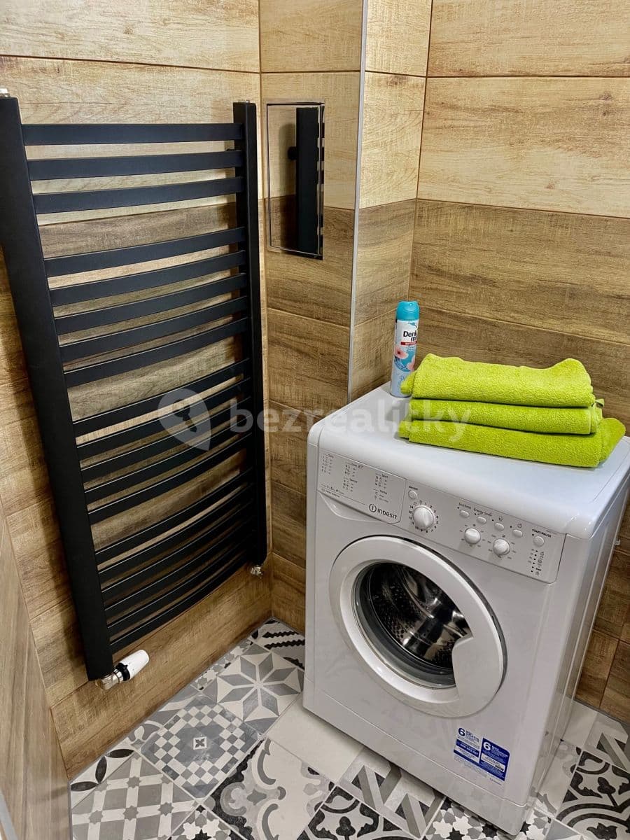 1 bedroom with open-plan kitchen flat to rent, 49 m², Sudoměřská, Prague, Prague 1 bedroom with open-plan kitchen flat to rent, 49 m², Sudoměřská, Prague, Prague