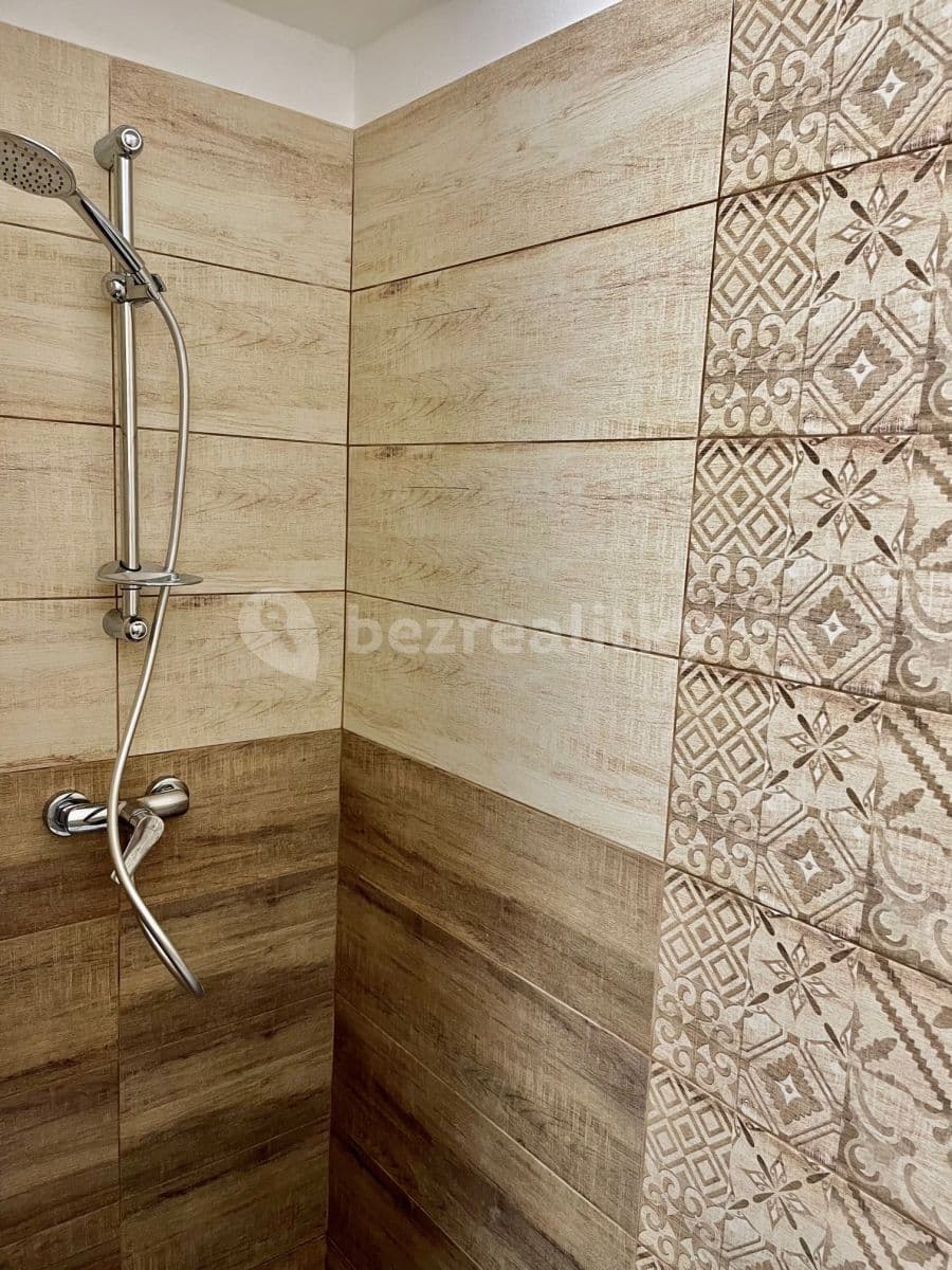 1 bedroom with open-plan kitchen flat to rent, 49 m², Sudoměřská, Prague, Prague 1 bedroom with open-plan kitchen flat to rent, 49 m², Sudoměřská, Prague, Prague