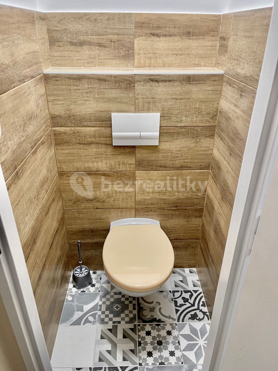 1 bedroom with open-plan kitchen flat to rent, 49 m², Sudoměřská, Prague, Prague 1 bedroom with open-plan kitchen flat to rent, 49 m², Sudoměřská, Prague, Prague