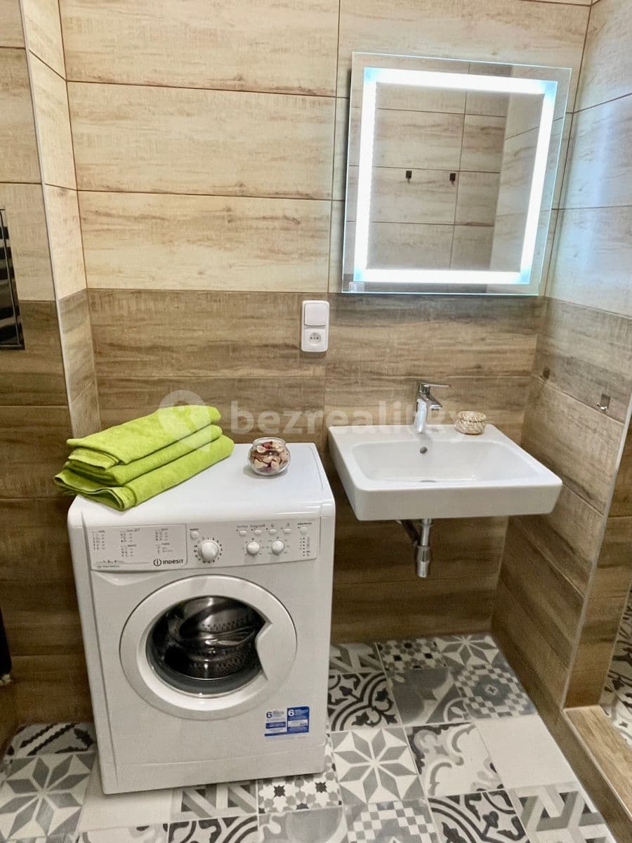 1 bedroom with open-plan kitchen flat to rent, 49 m², Sudoměřská, Prague, Prague 1 bedroom with open-plan kitchen flat to rent, 49 m², Sudoměřská, Prague, Prague