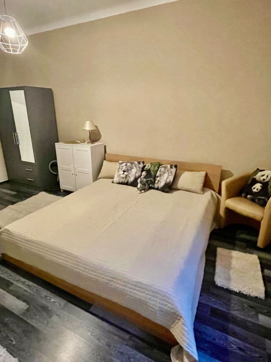 1 bedroom with open-plan kitchen flat to rent, 49 m², Sudoměřská, Prague, Prague 1 bedroom with open-plan kitchen flat to rent, 49 m², Sudoměřská, Prague, Prague