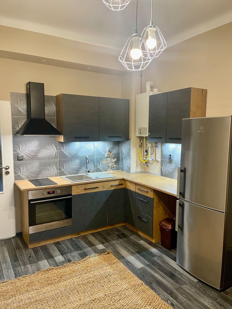 1 bedroom with open-plan kitchen flat to rent, 49 m², Sudoměřská, Prague, Prague 1 bedroom with open-plan kitchen flat to rent, 49 m², Sudoměřská, Prague, Prague