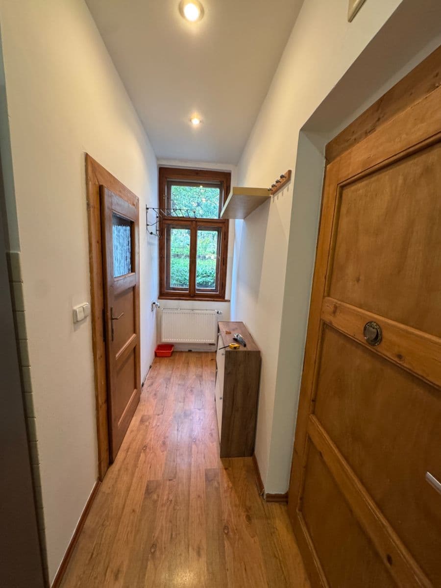 1 bedroom with open-plan kitchen flat to rent, 45 m², Souběžná Ⅰ, Prague, Prague 1 bedroom with open-plan kitchen flat to rent, 45 m², Souběžná Ⅰ, Prague, Prague