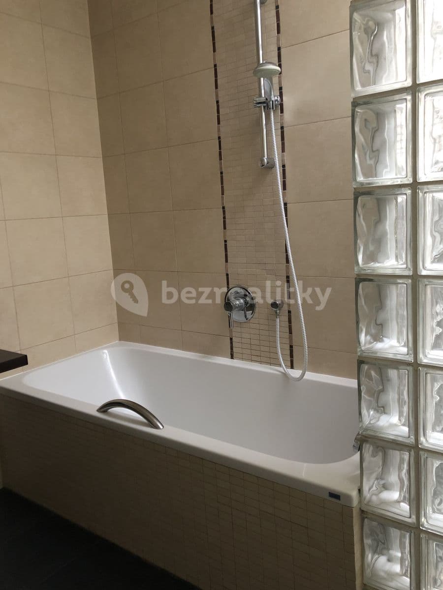 1 bedroom with open-plan kitchen flat to rent, 50 m², Hořejší nábřeží, Prague, Prague 1 bedroom with open-plan kitchen flat to rent, 50 m², Hořejší nábřeží, Prague, Prague