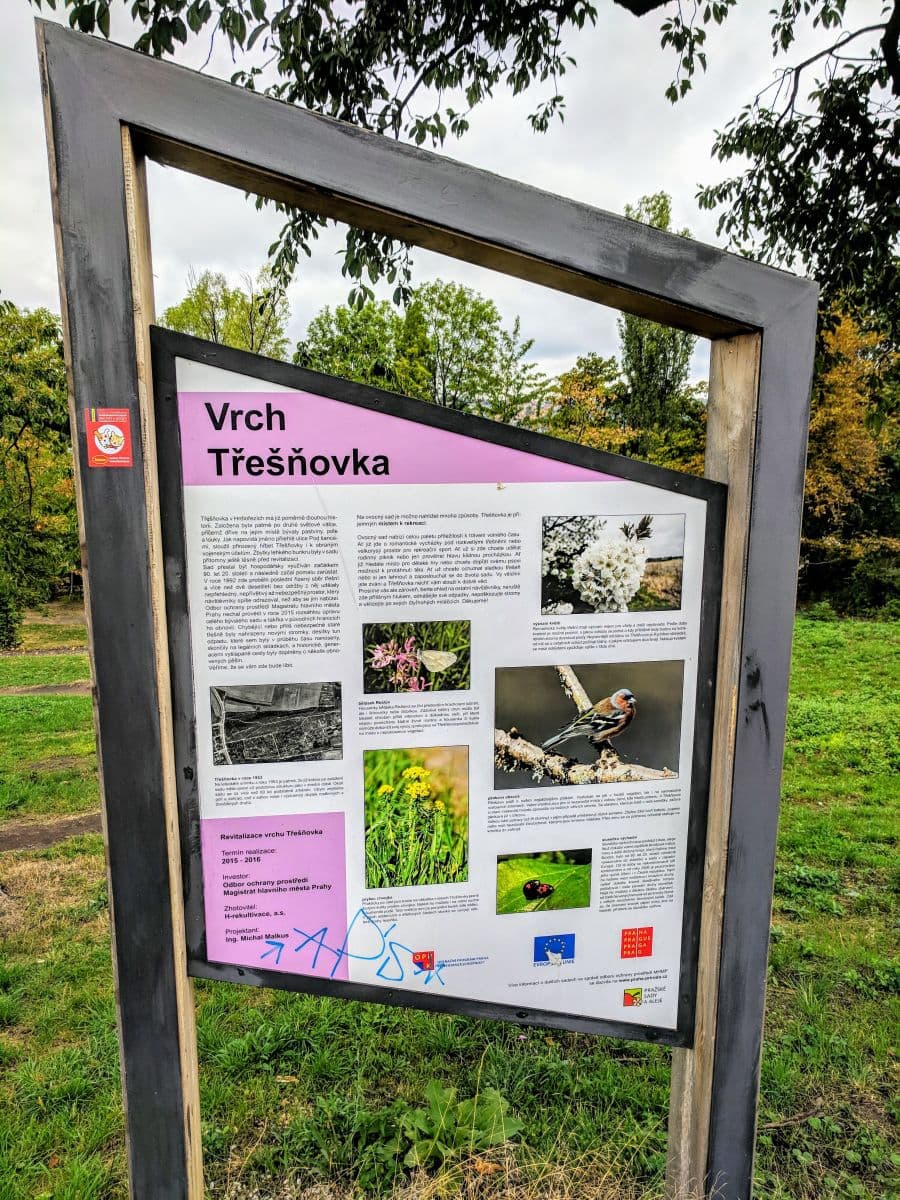 1 bedroom with open-plan kitchen flat to rent, 40 m², Křivá, Prague, Prague 1 bedroom with open-plan kitchen flat to rent, 40 m², Křivá, Prague, Prague