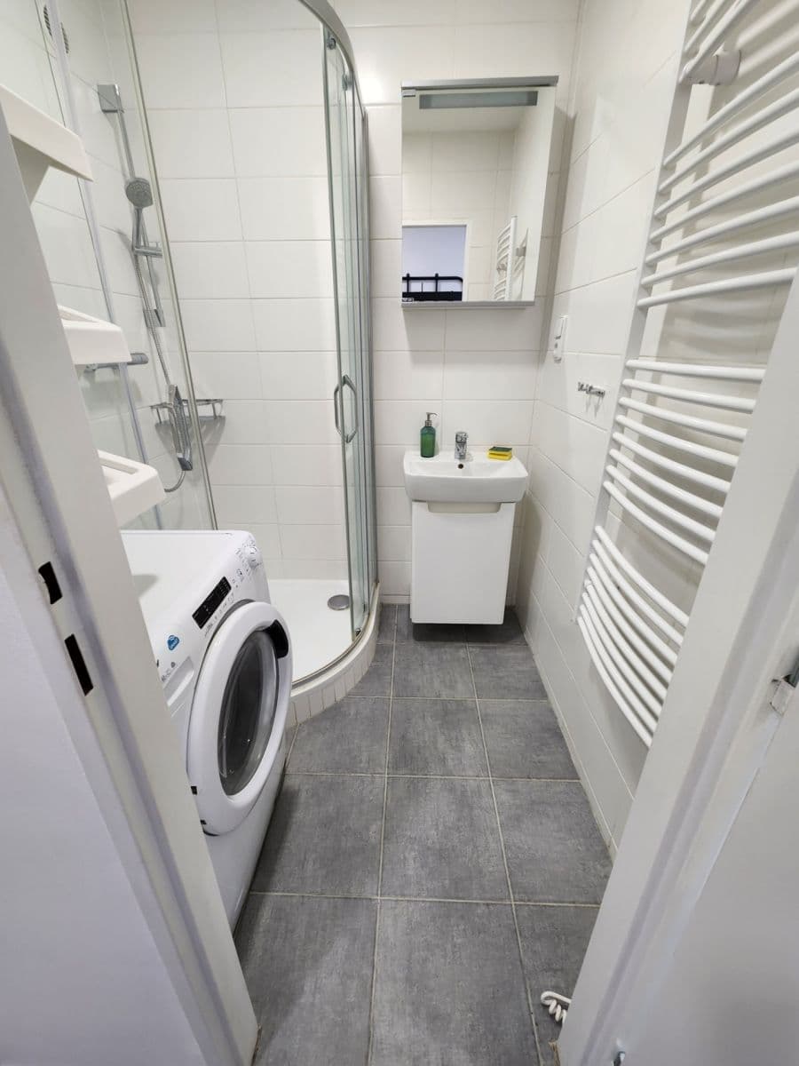 1 bedroom with open-plan kitchen flat to rent, 40 m², Křivá, Prague, Prague 1 bedroom with open-plan kitchen flat to rent, 40 m², Křivá, Prague, Prague