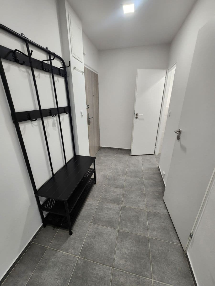 1 bedroom with open-plan kitchen flat to rent, 40 m², Křivá, Prague, Prague 1 bedroom with open-plan kitchen flat to rent, 40 m², Křivá, Prague, Prague