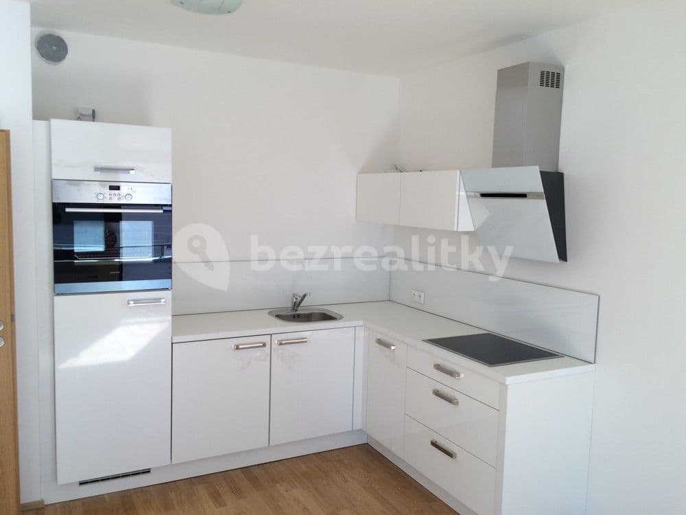 1 bedroom with open-plan kitchen flat to rent, 40 m², Pod dvorem, Prague, Prague 1 bedroom with open-plan kitchen flat to rent, 40 m², Pod dvorem, Prague, Prague
