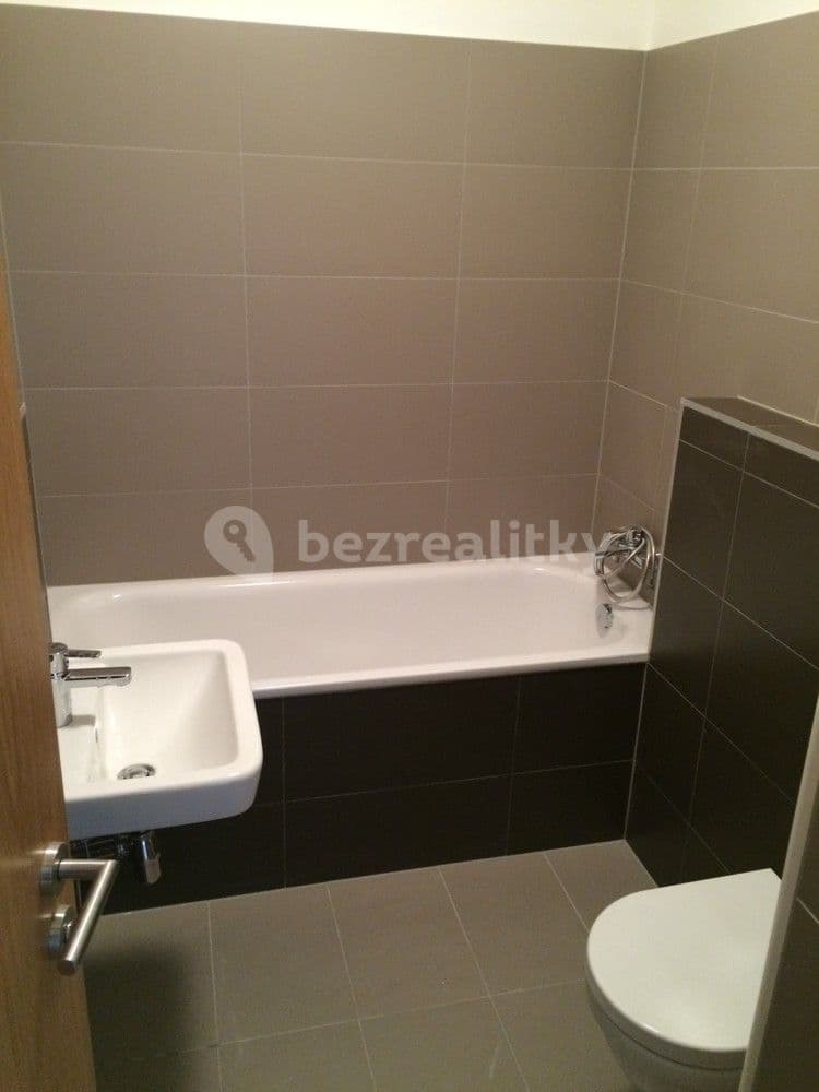 1 bedroom with open-plan kitchen flat to rent, 40 m², Pod dvorem, Prague, Prague 1 bedroom with open-plan kitchen flat to rent, 40 m², Pod dvorem, Prague, Prague