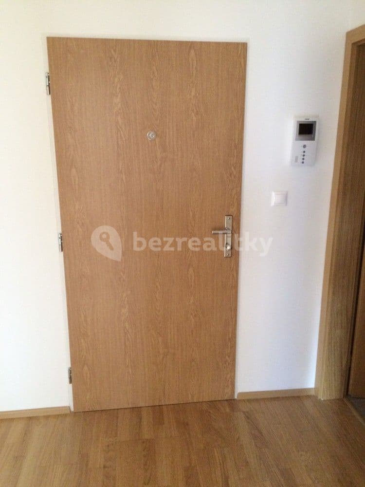 1 bedroom with open-plan kitchen flat to rent, 40 m², Pod dvorem, Prague, Prague 1 bedroom with open-plan kitchen flat to rent, 40 m², Pod dvorem, Prague, Prague