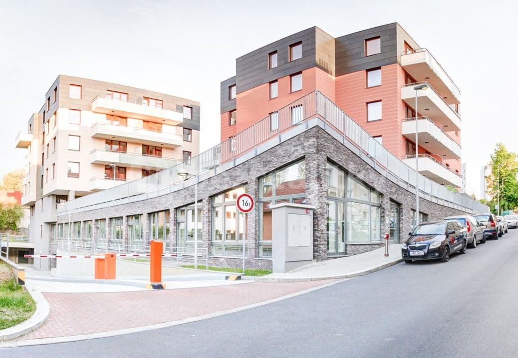 1 bedroom with open-plan kitchen flat to rent, 40 m², Pod dvorem, Prague, Prague 1 bedroom with open-plan kitchen flat to rent, 40 m², Pod dvorem, Prague, Prague