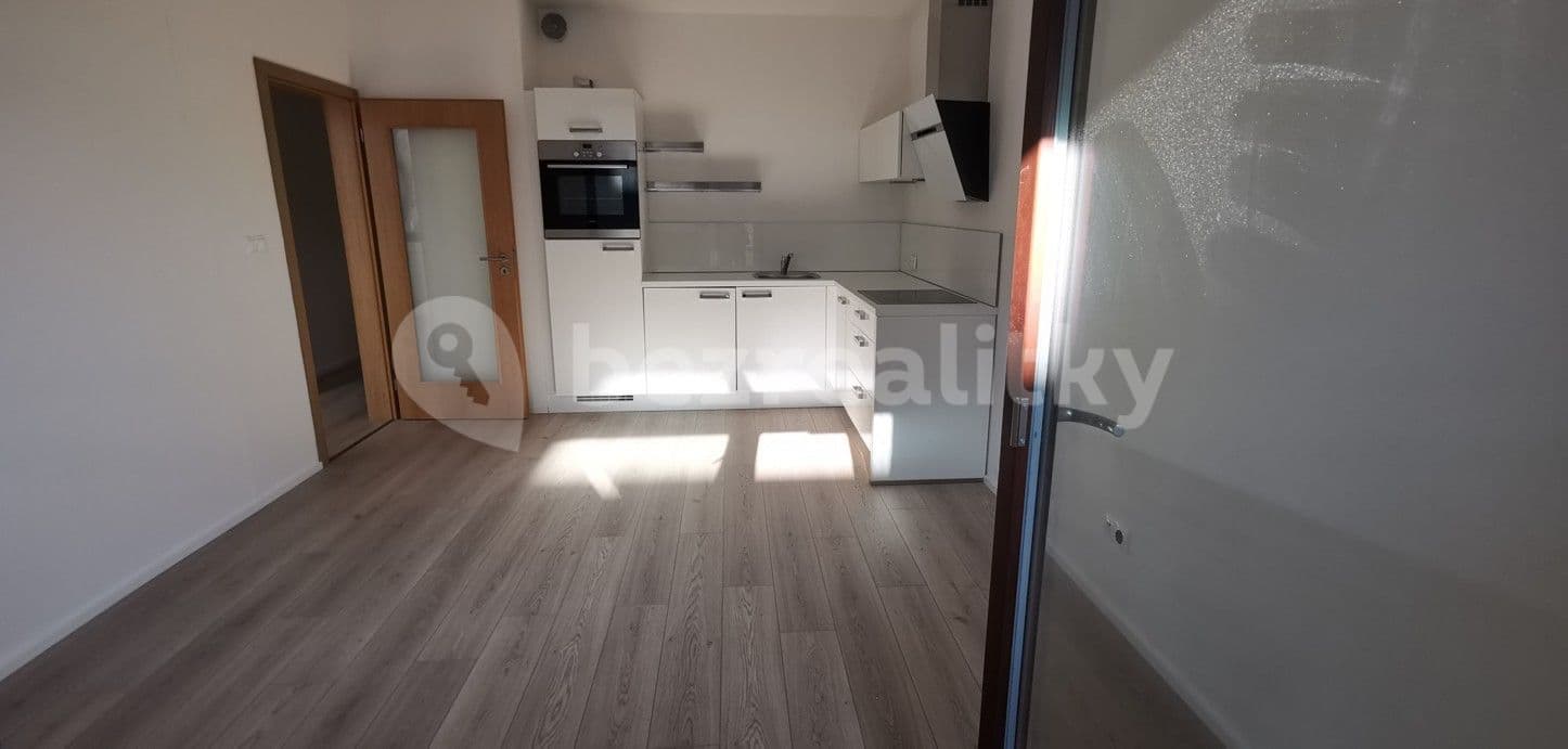 1 bedroom with open-plan kitchen flat to rent, 40 m², Pod dvorem, Prague, Prague 1 bedroom with open-plan kitchen flat to rent, 40 m², Pod dvorem, Prague, Prague