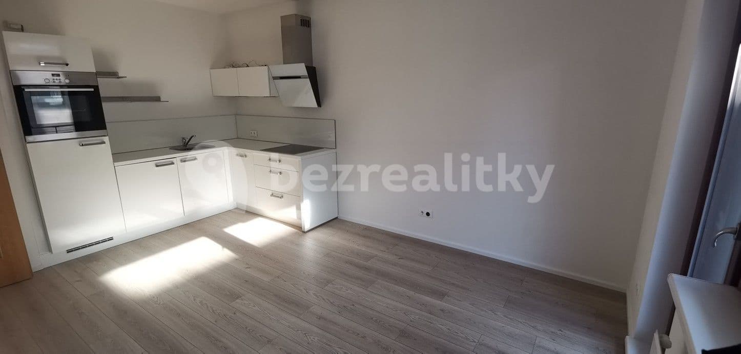 1 bedroom with open-plan kitchen flat to rent, 40 m², Pod dvorem, Prague, Prague 1 bedroom with open-plan kitchen flat to rent, 40 m², Pod dvorem, Prague, Prague