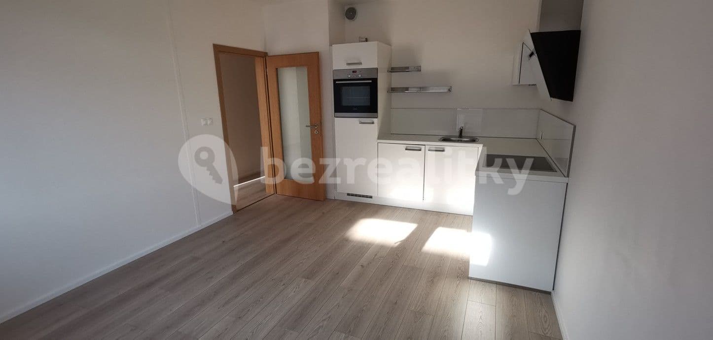 1 bedroom with open-plan kitchen flat to rent, 40 m², Pod dvorem, Prague, Prague 1 bedroom with open-plan kitchen flat to rent, 40 m², Pod dvorem, Prague, Prague