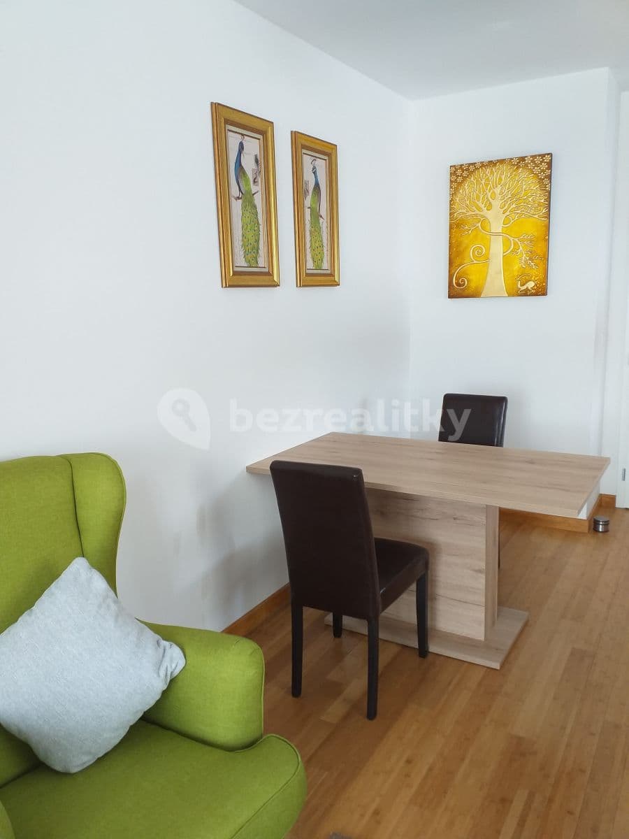 1 bedroom with open-plan kitchen flat to rent, 56 m², Za Mototechnou, Prague, Prague