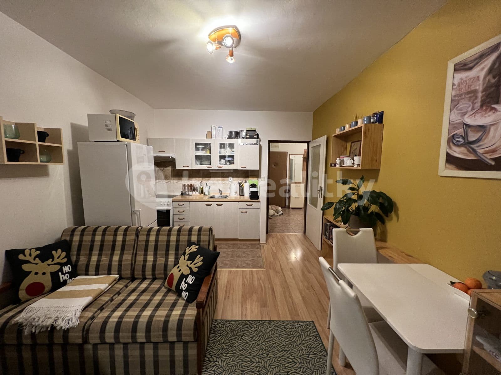 1 bedroom with open-plan kitchen flat to rent, 43 m², Hnězdenská, Prague, Prague 1 bedroom with open-plan kitchen flat to rent, 43 m², Hnězdenská, Prague, Prague