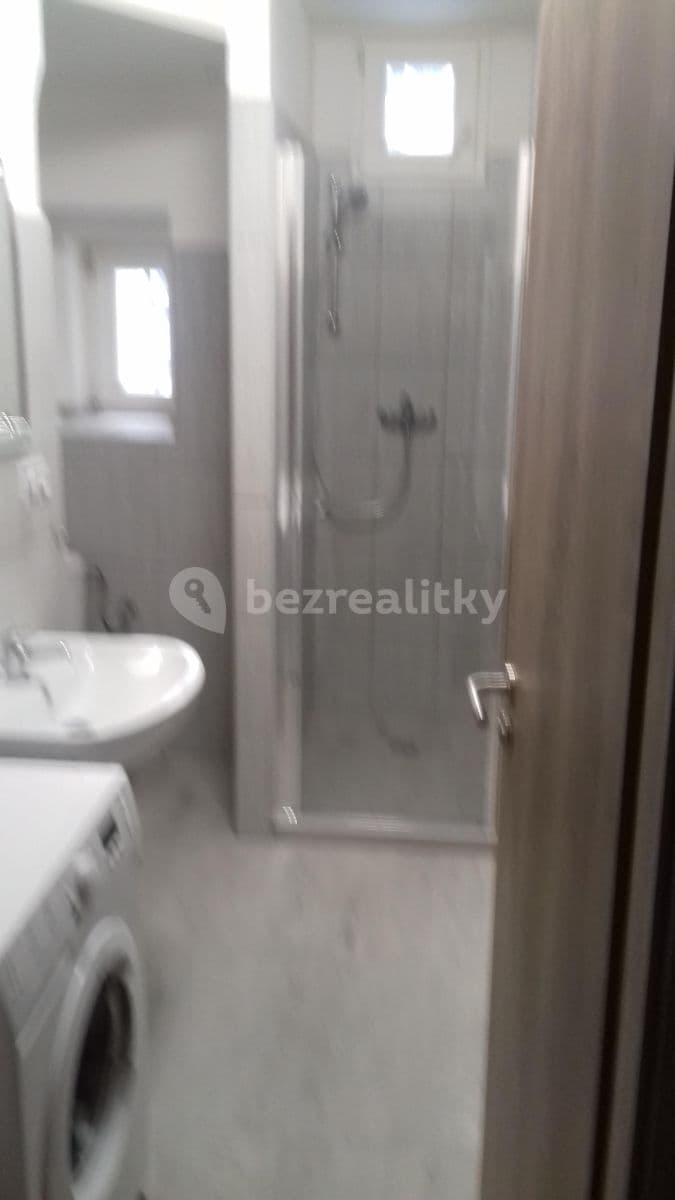 1 bedroom with open-plan kitchen flat to rent, 45 m², Krymská, Prague, Prague 1 bedroom with open-plan kitchen flat to rent, 45 m², Krymská, Prague, Prague