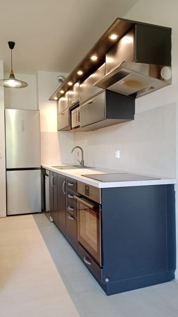 1 bedroom with open-plan kitchen flat to rent, 56 m², Trojská, Prague, Prague 1 bedroom with open-plan kitchen flat to rent, 56 m², Trojská, Prague, Prague