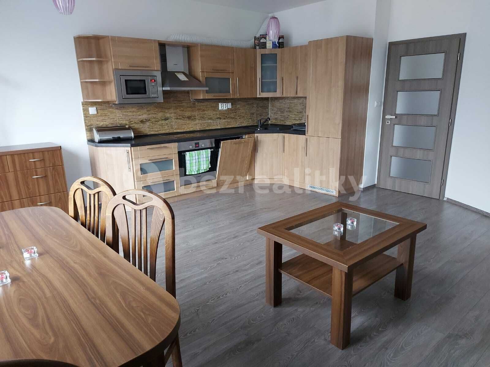 1 bedroom with open-plan kitchen flat to rent, 57 m², Blšanecká, Prague, Prague 1 bedroom with open-plan kitchen flat to rent, 57 m², Blšanecká, Prague, Prague