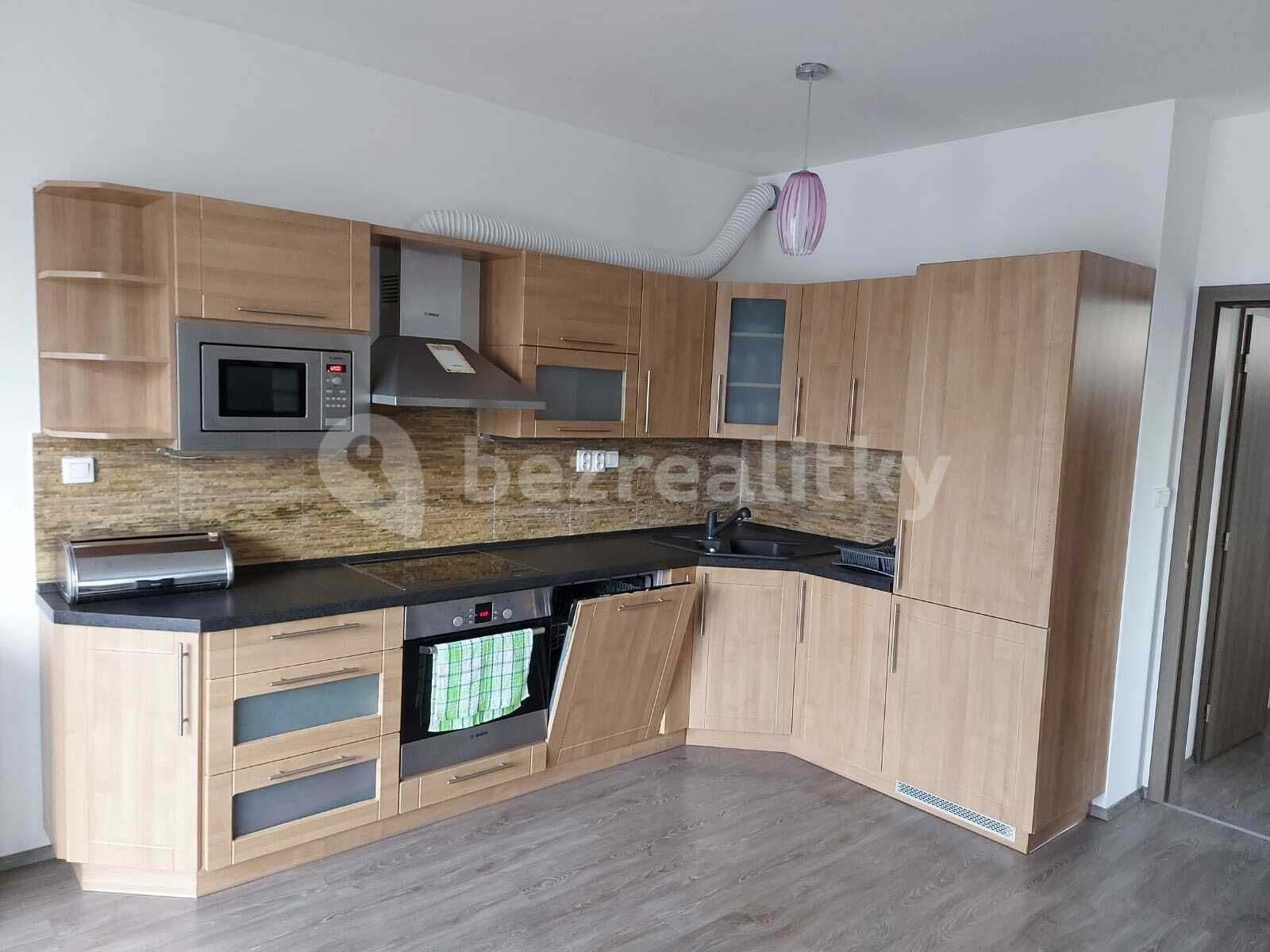 1 bedroom with open-plan kitchen flat to rent, 57 m², Blšanecká, Prague, Prague 1 bedroom with open-plan kitchen flat to rent, 57 m², Blšanecká, Prague, Prague