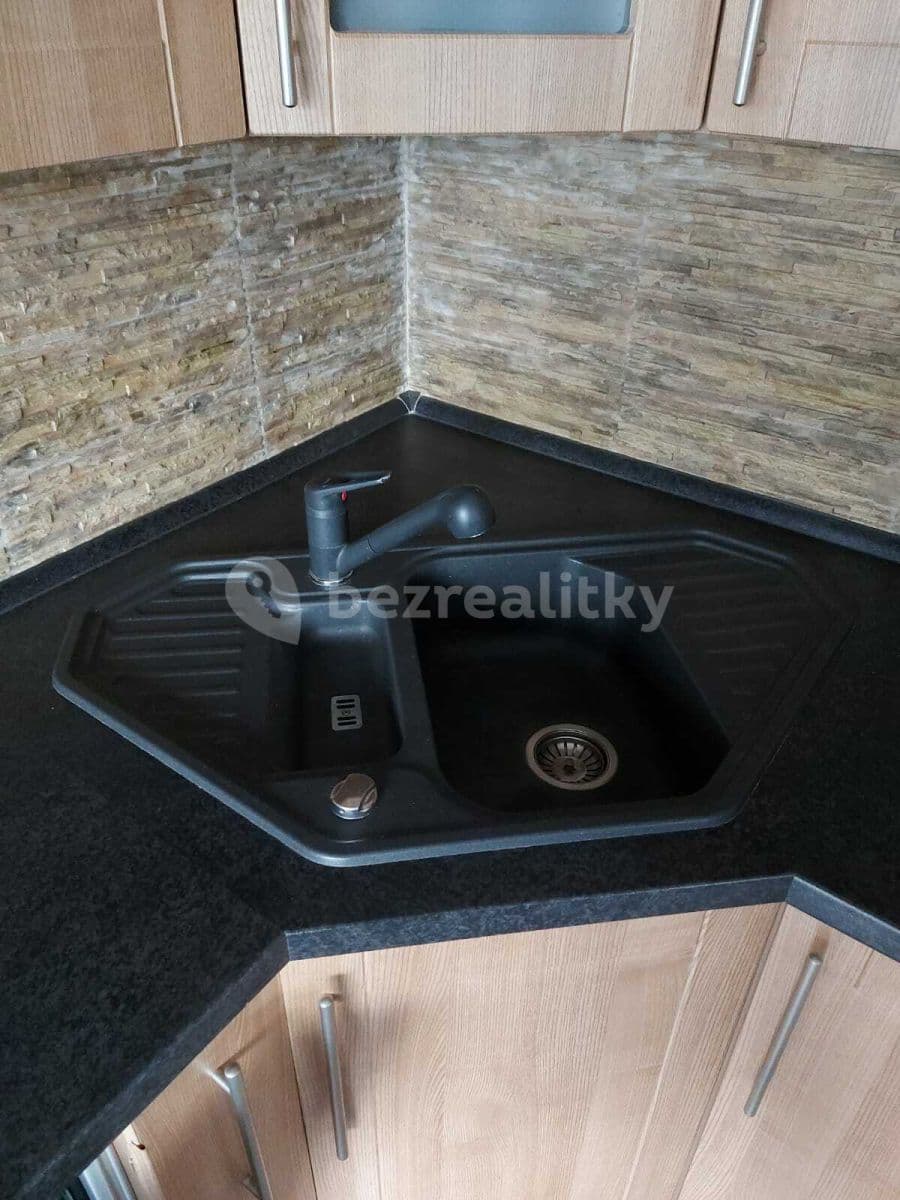 1 bedroom with open-plan kitchen flat to rent, 57 m², Blšanecká, Prague, Prague 1 bedroom with open-plan kitchen flat to rent, 57 m², Blšanecká, Prague, Prague