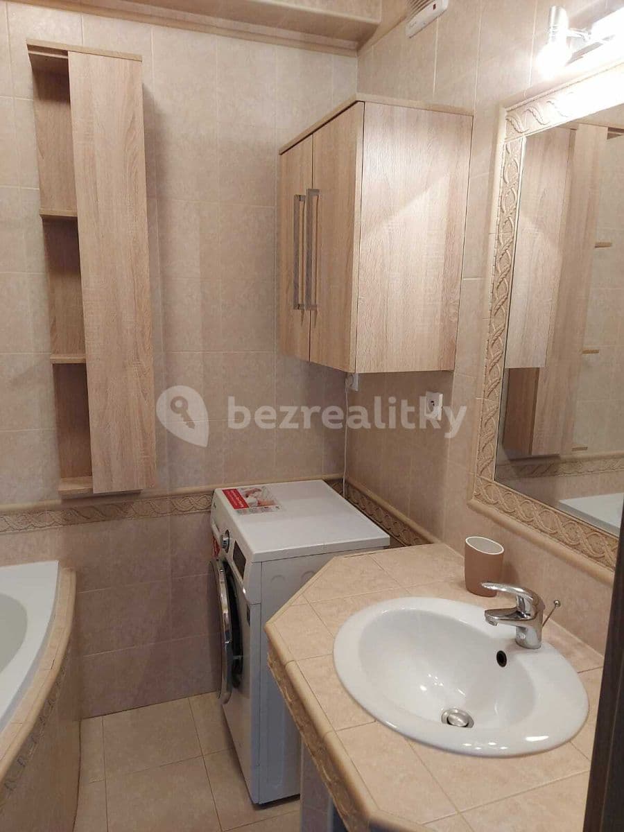 1 bedroom with open-plan kitchen flat to rent, 57 m², Blšanecká, Prague, Prague 1 bedroom with open-plan kitchen flat to rent, 57 m², Blšanecká, Prague, Prague