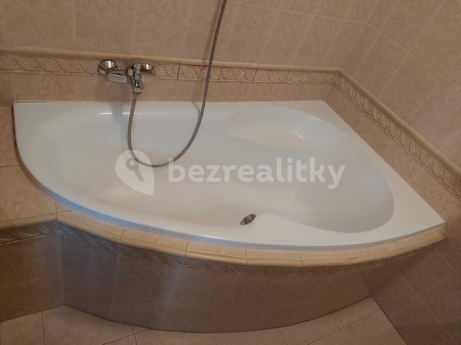 1 bedroom with open-plan kitchen flat to rent, 57 m², Blšanecká, Prague, Prague 1 bedroom with open-plan kitchen flat to rent, 57 m², Blšanecká, Prague, Prague