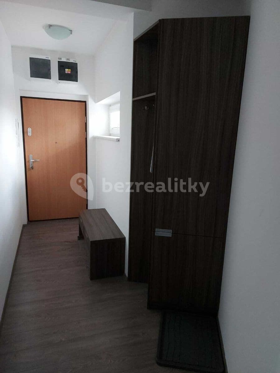1 bedroom with open-plan kitchen flat to rent, 57 m², Blšanecká, Prague, Prague 1 bedroom with open-plan kitchen flat to rent, 57 m², Blšanecká, Prague, Prague