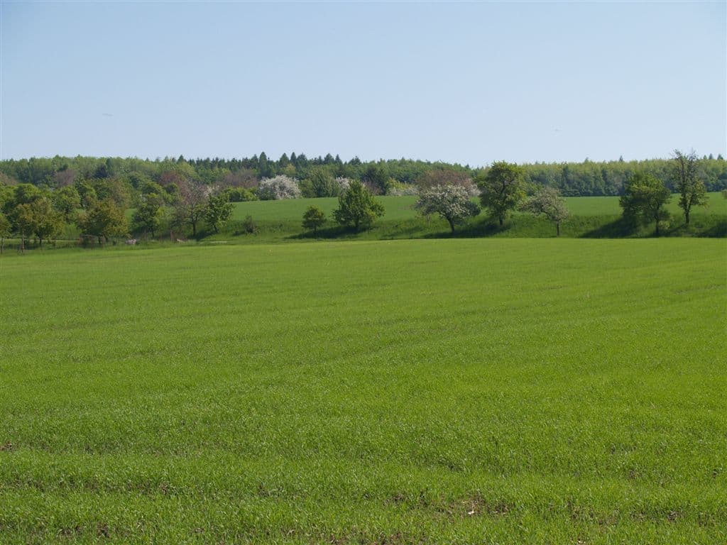 non-residential property for sale, 9,800 m², Přestavlky, Přestavlky, Olomoucký Region non-residential property for sale, 9,800 m², Přestavlky, Přestavlky, Olomoucký Region
