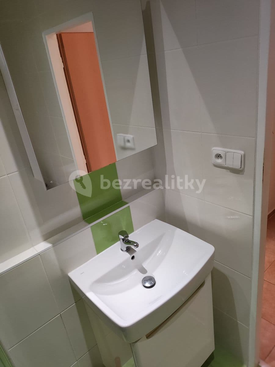 1 bedroom with open-plan kitchen flat to rent, 45 m², Ohradní, Prague, Prague 1 bedroom with open-plan kitchen flat to rent, 45 m², Ohradní, Prague, Prague