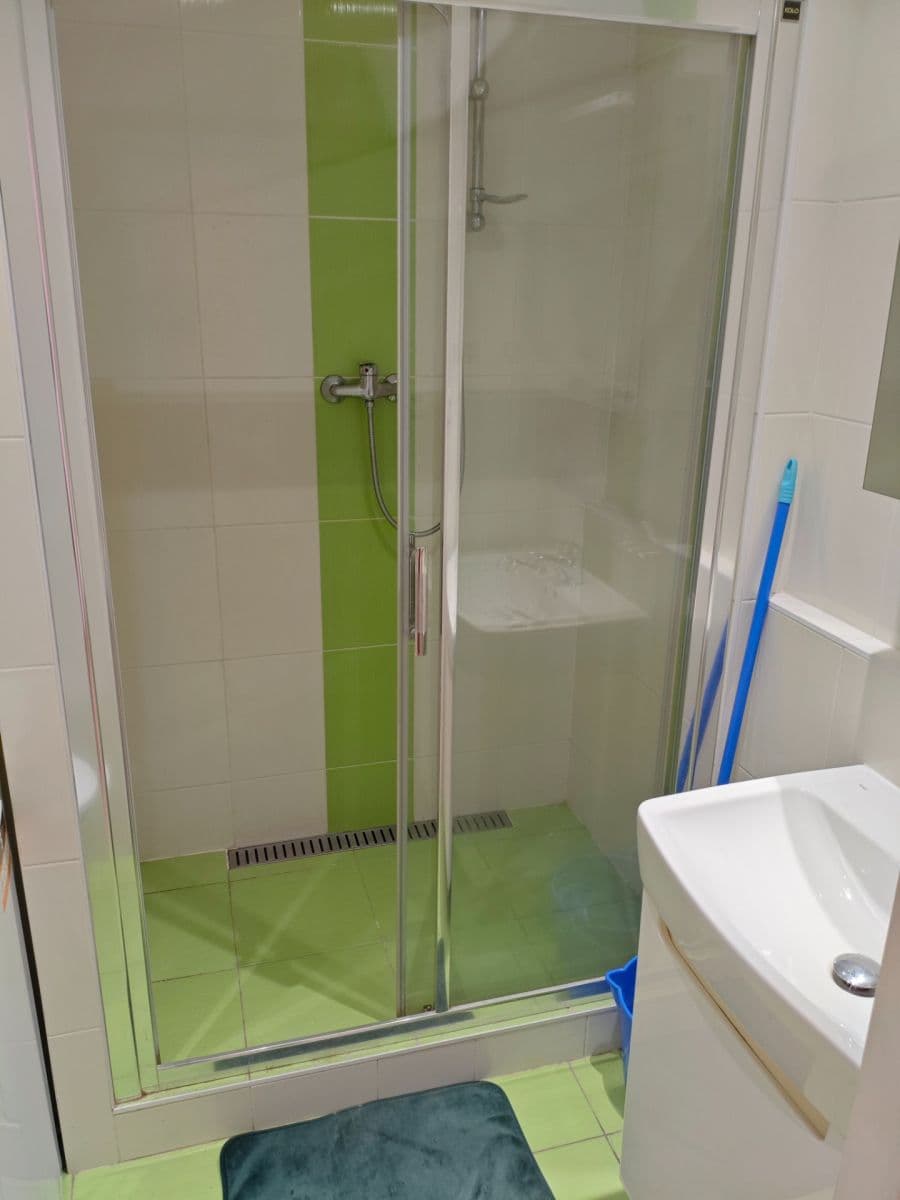 1 bedroom with open-plan kitchen flat to rent, 45 m², Ohradní, Prague, Prague 1 bedroom with open-plan kitchen flat to rent, 45 m², Ohradní, Prague, Prague