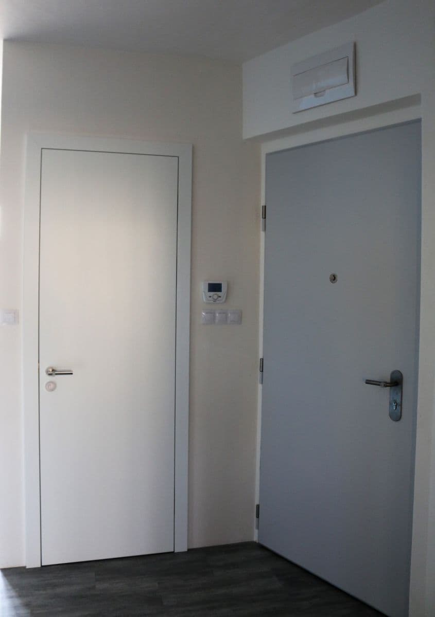 1 bedroom with open-plan kitchen flat to rent, 46 m², Renneská třída, Brno, Jihomoravský Region 1 bedroom with open-plan kitchen flat to rent, 46 m², Renneská třída, Brno, Jihomoravský Region