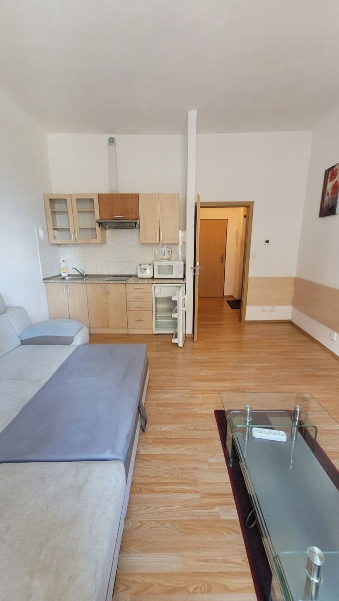 Studio flat to rent, 25 m², Veletržní, Prague, Prague Studio flat to rent, 25 m², Veletržní, Prague, Prague