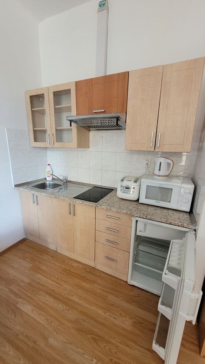 Studio flat to rent, 25 m², Veletržní, Prague, Prague Studio flat to rent, 25 m², Veletržní, Prague, Prague