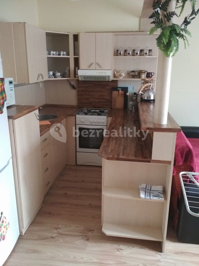 1 bedroom with open-plan kitchen flat to rent, 68 m², Obecní, Brno, Jihomoravský Region 1 bedroom with open-plan kitchen flat to rent, 68 m², Obecní, Brno, Jihomoravský Region