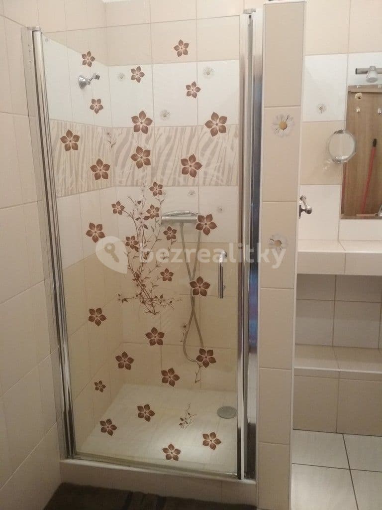 1 bedroom with open-plan kitchen flat to rent, 68 m², Obecní, Brno, Jihomoravský Region 1 bedroom with open-plan kitchen flat to rent, 68 m², Obecní, Brno, Jihomoravský Region