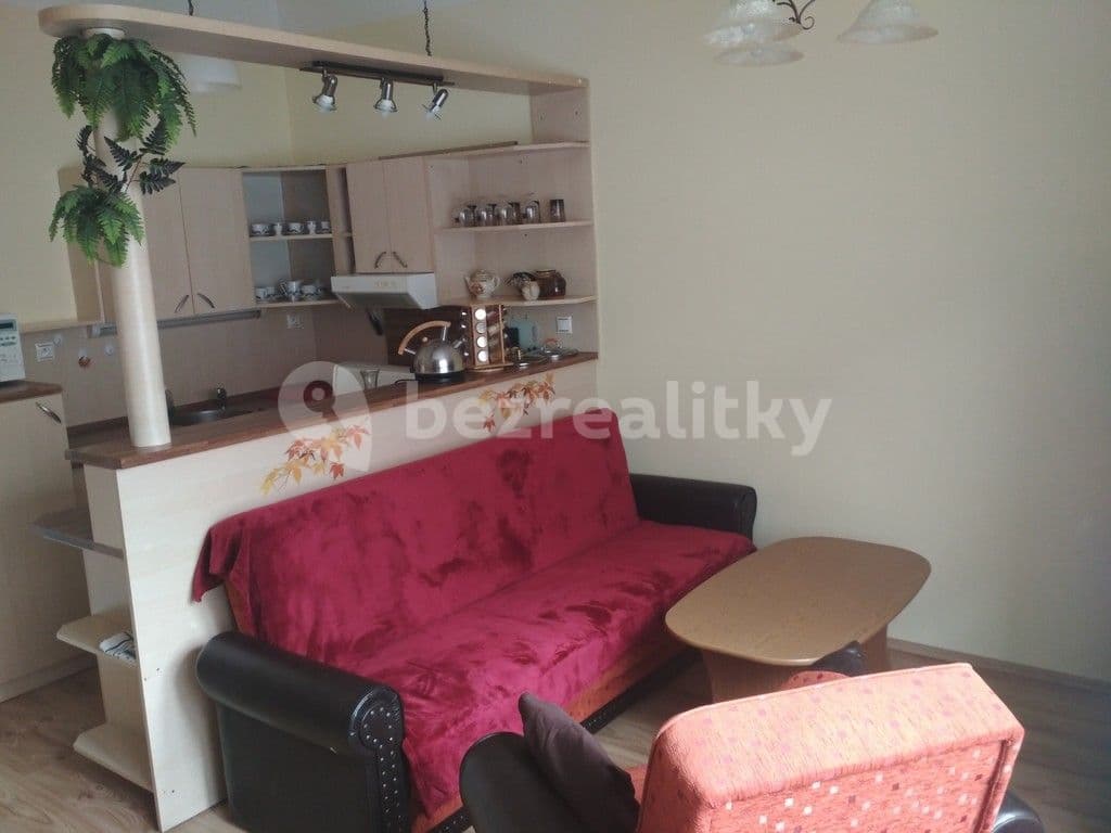1 bedroom with open-plan kitchen flat to rent, 68 m², Obecní, Brno, Jihomoravský Region 1 bedroom with open-plan kitchen flat to rent, 68 m², Obecní, Brno, Jihomoravský Region
