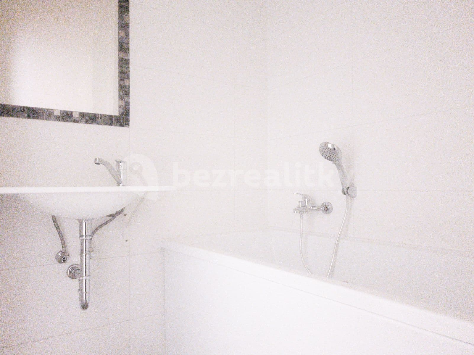 1 bedroom with open-plan kitchen flat to rent, 50 m², Malešická, Prague, Prague 1 bedroom with open-plan kitchen flat to rent, 50 m², Malešická, Prague, Prague