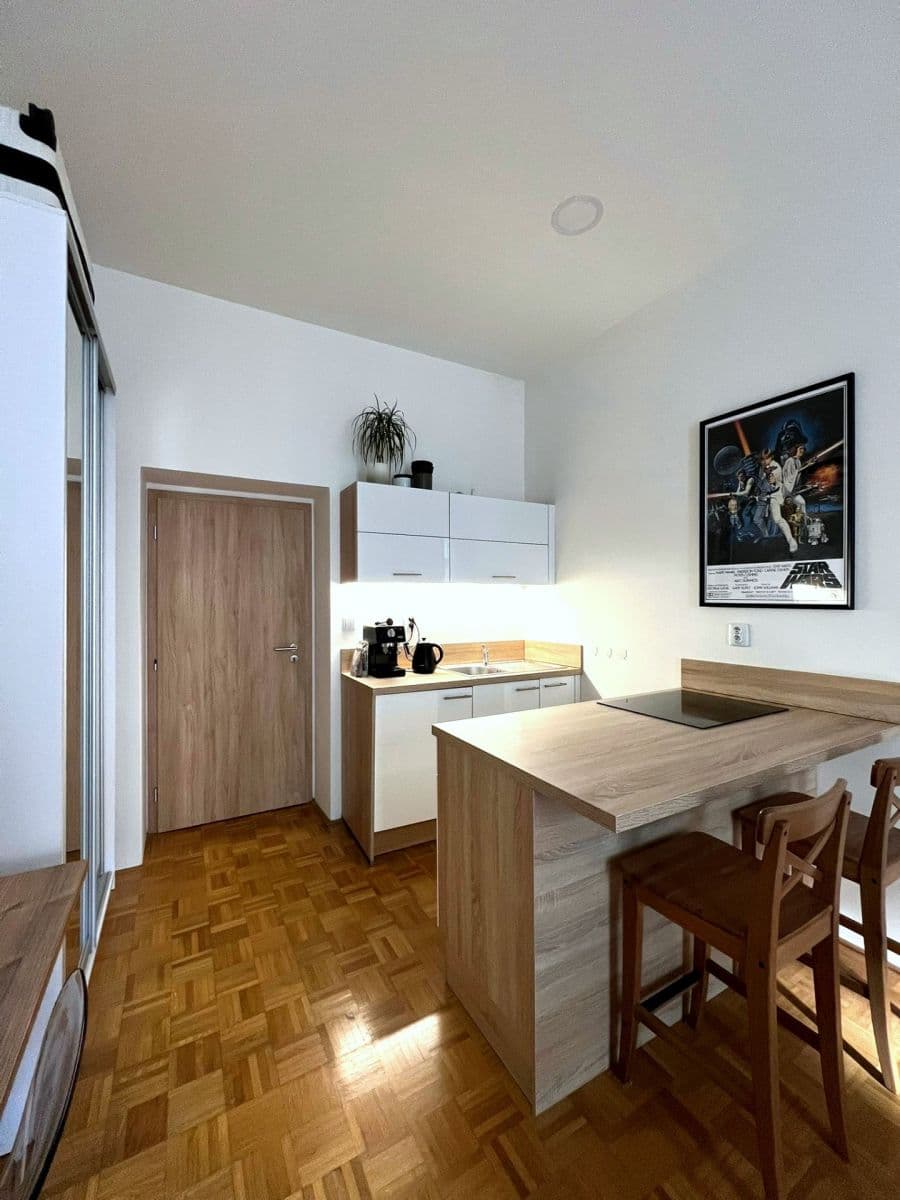 Small studio flat to rent, 29 m², Moskevská, Prague, Prague Small studio flat to rent, 29 m², Moskevská, Prague, Prague