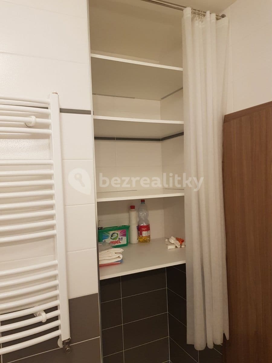 1 bedroom with open-plan kitchen flat to rent, 57 m², Pod Harfou, Prague, Prague 1 bedroom with open-plan kitchen flat to rent, 57 m², Pod Harfou, Prague, Prague