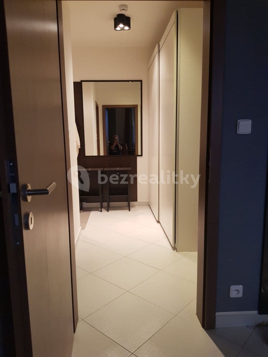 1 bedroom with open-plan kitchen flat to rent, 57 m², Pod Harfou, Prague, Prague 1 bedroom with open-plan kitchen flat to rent, 57 m², Pod Harfou, Prague, Prague