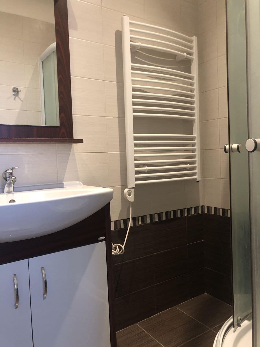 1 bedroom with open-plan kitchen flat to rent, 42 m², Kozí, Prague, Prague 1 bedroom with open-plan kitchen flat to rent, 42 m², Kozí, Prague, Prague