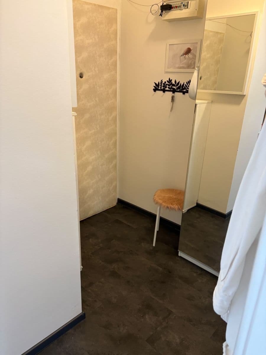1 bedroom with open-plan kitchen flat to rent, 43 m², Starostrašnická, Prague, Prague 1 bedroom with open-plan kitchen flat to rent, 43 m², Starostrašnická, Prague, Prague