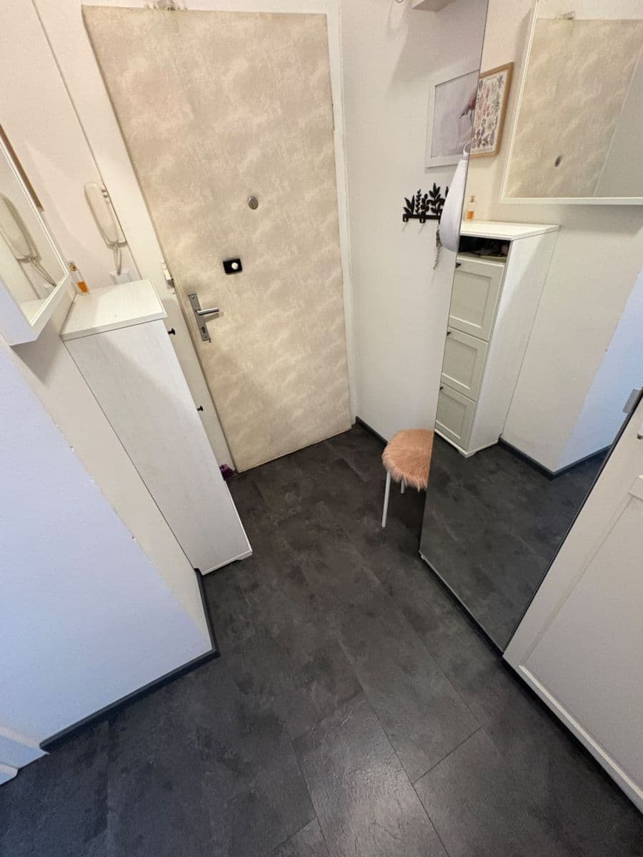 1 bedroom with open-plan kitchen flat to rent, 43 m², Starostrašnická, Prague, Prague 1 bedroom with open-plan kitchen flat to rent, 43 m², Starostrašnická, Prague, Prague