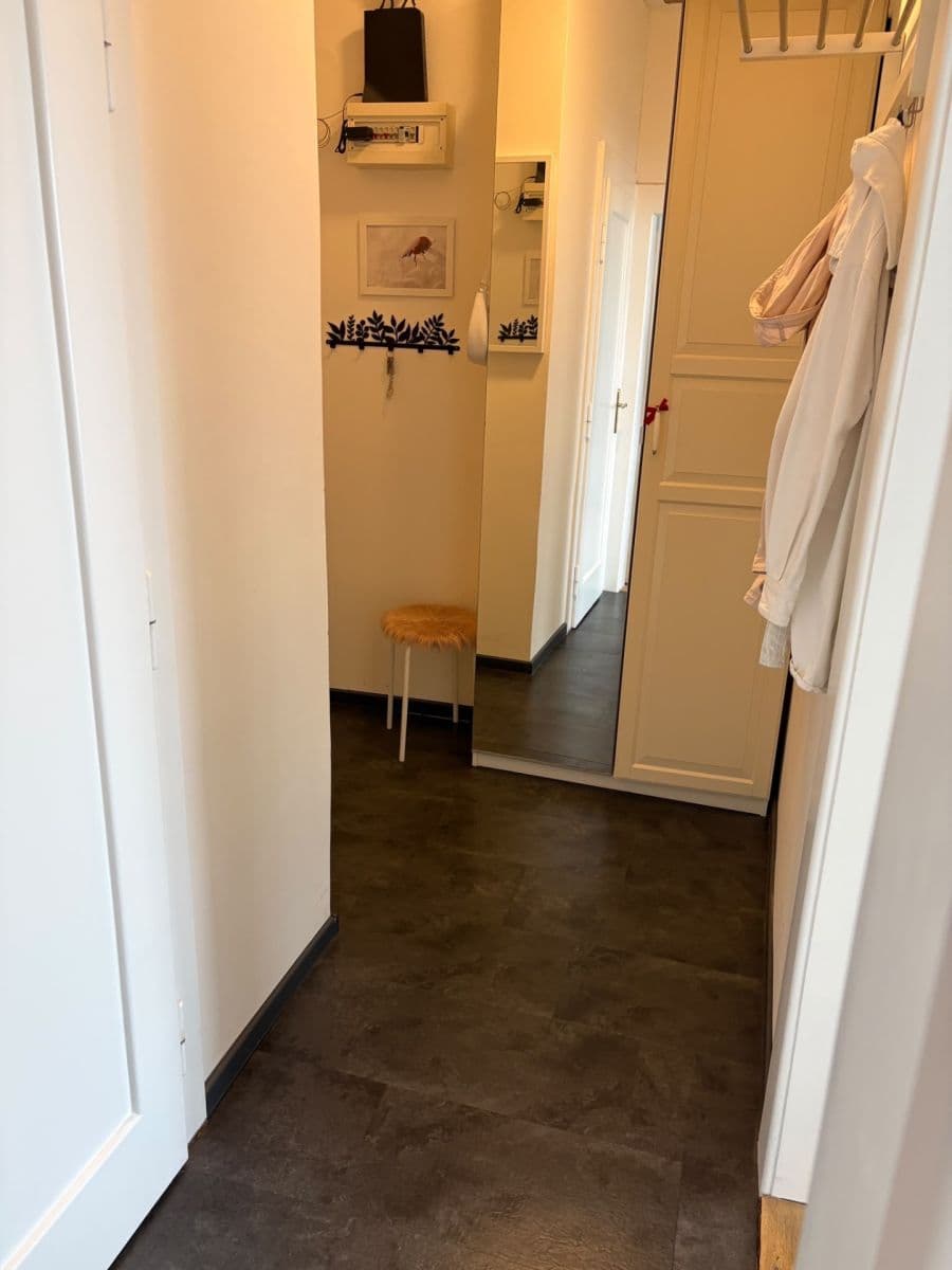 1 bedroom with open-plan kitchen flat to rent, 43 m², Starostrašnická, Prague, Prague 1 bedroom with open-plan kitchen flat to rent, 43 m², Starostrašnická, Prague, Prague