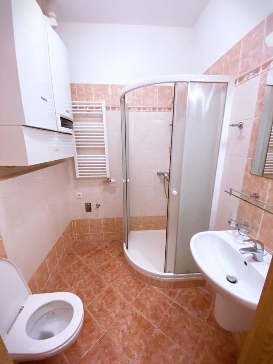 Studio flat to rent, 24 m², Bulharská, Prague, Prague Studio flat to rent, 24 m², Bulharská, Prague, Prague