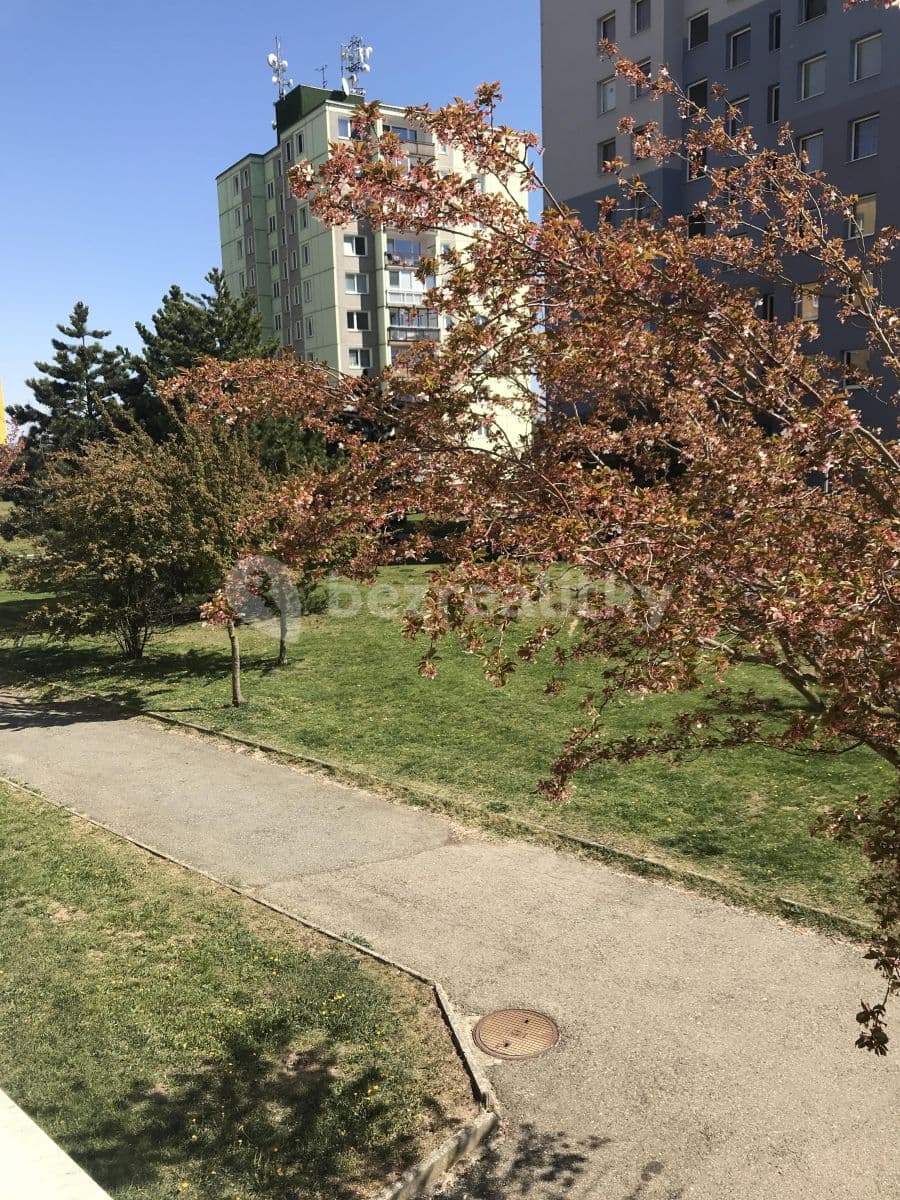 Studio flat to rent, 30 m², Krašovská, Plzeň, Plzeňský Region Studio flat to rent, 30 m², Krašovská, Plzeň, Plzeňský Region