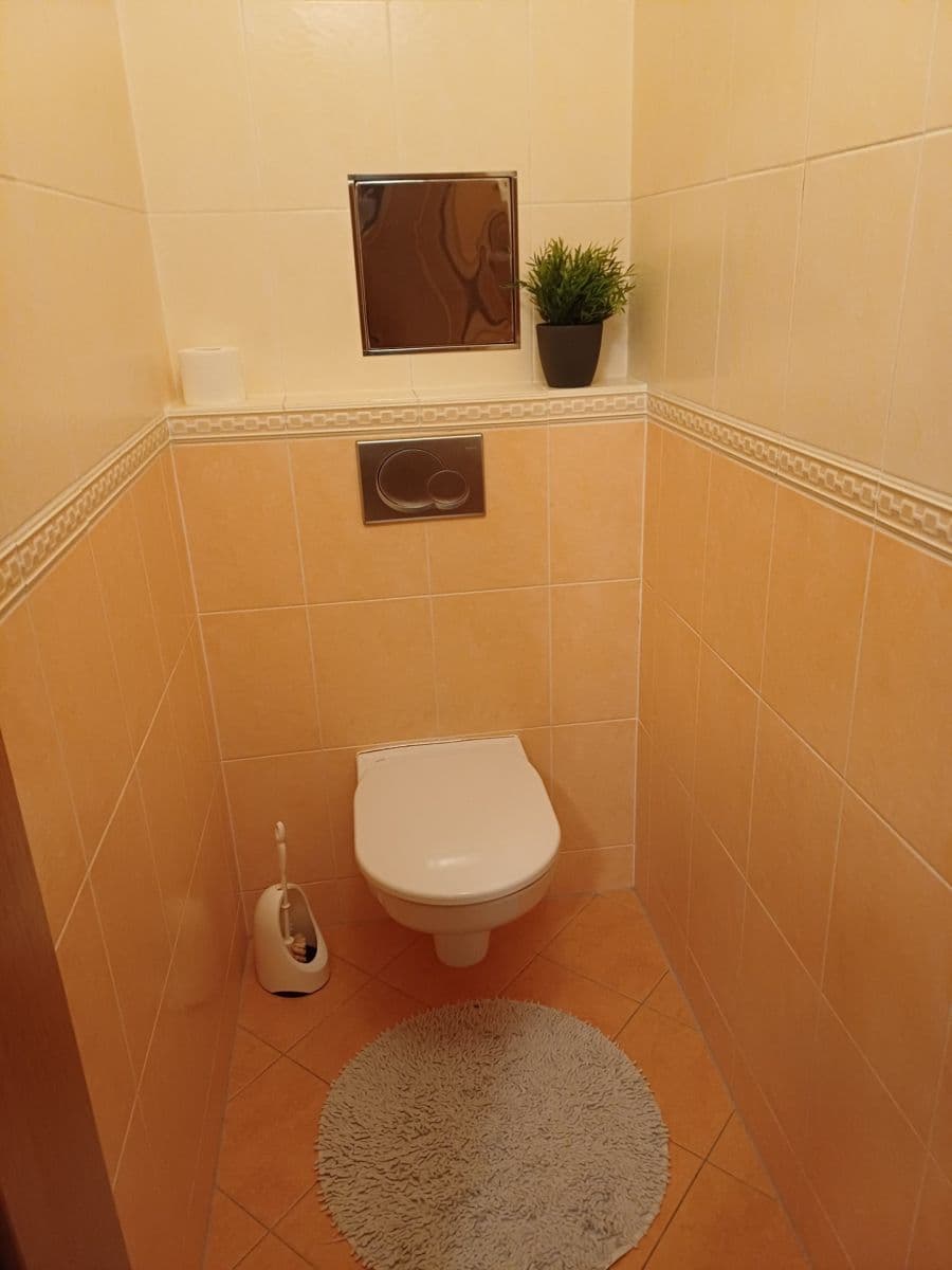 1 bedroom with open-plan kitchen flat to rent, 54 m², Osadní, Prague, Prague 1 bedroom with open-plan kitchen flat to rent, 54 m², Osadní, Prague, Prague