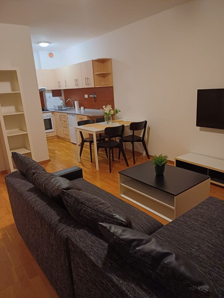 1 bedroom with open-plan kitchen flat to rent, 54 m², Osadní, Prague, Prague 1 bedroom with open-plan kitchen flat to rent, 54 m², Osadní, Prague, Prague