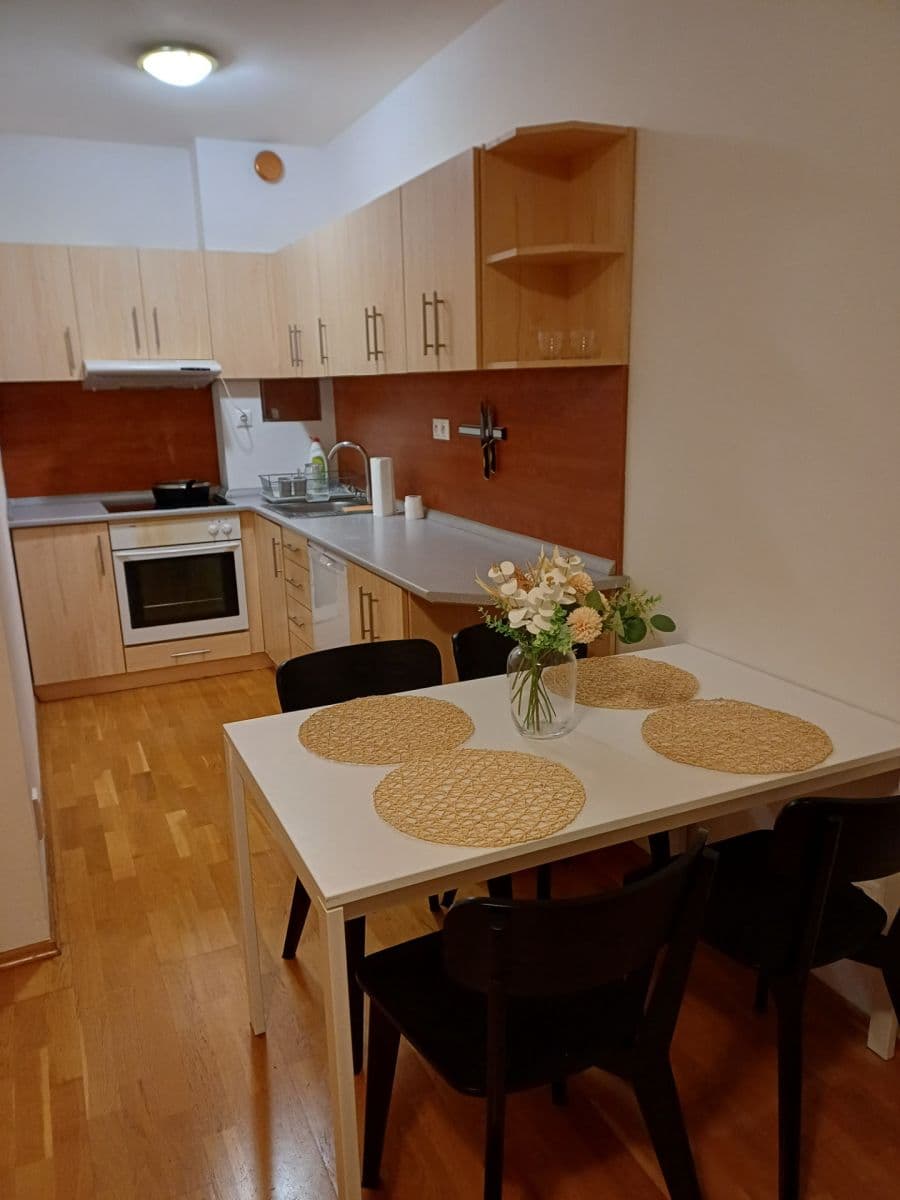 1 bedroom with open-plan kitchen flat to rent, 54 m², Osadní, Prague, Prague 1 bedroom with open-plan kitchen flat to rent, 54 m², Osadní, Prague, Prague